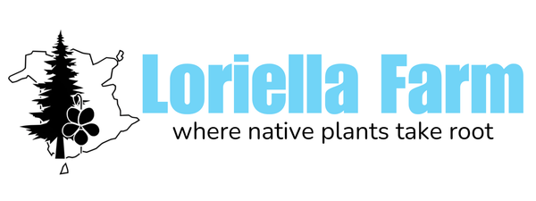 Loriella Farm