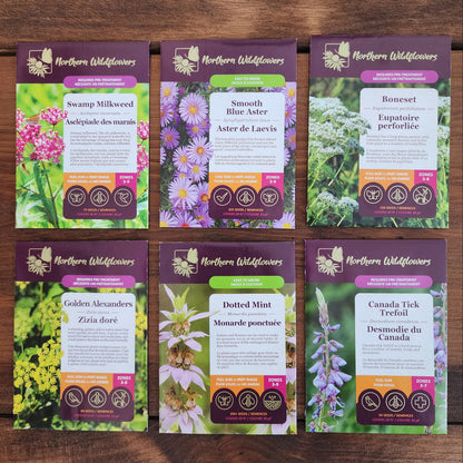 Northern Wildflowers seed collection for native host plants