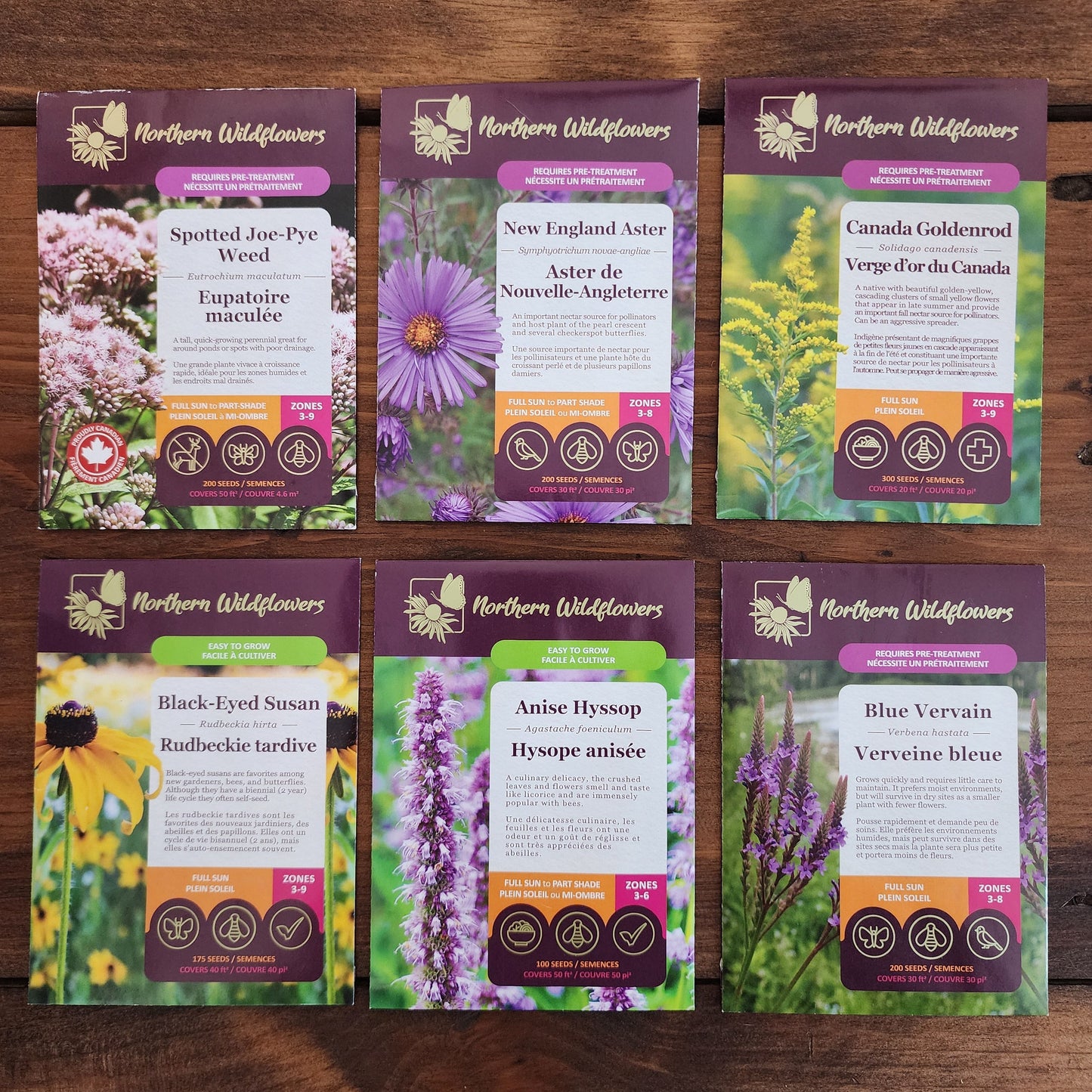 Northern Wildflowers seed collection for bees