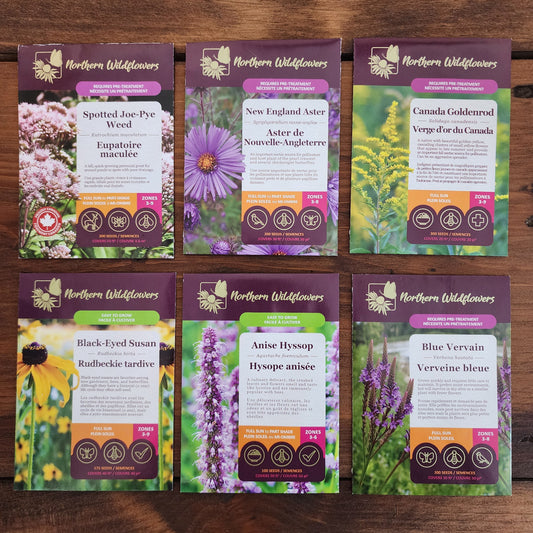 Northern Wildflowers seed collection for bees