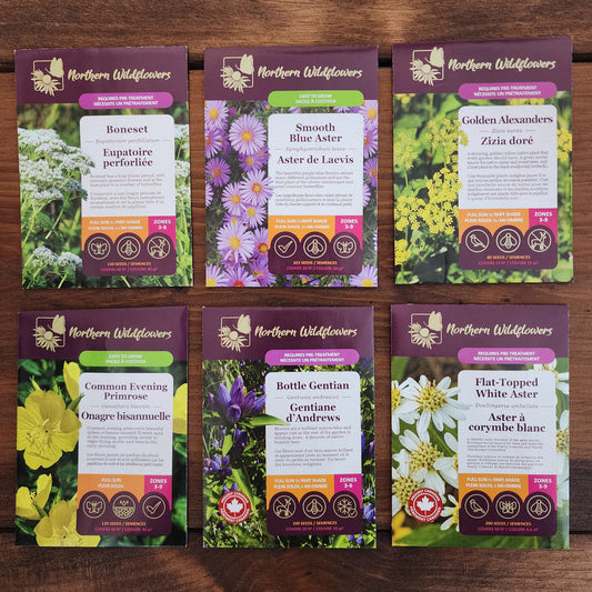 Northern Wildflowers seed collection for bees