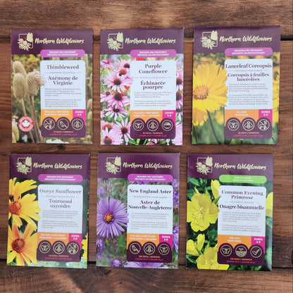 Northern Wildflowers seed collection for birds