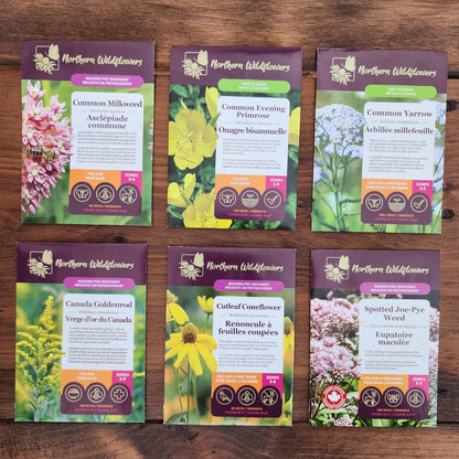 Northern Wildflowers seed collection for large spaces