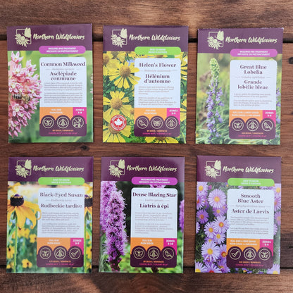Northern Wildflowers seed collection for pollinators