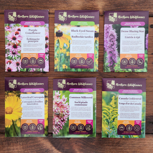Northern Wildflowers seed collection for containers.