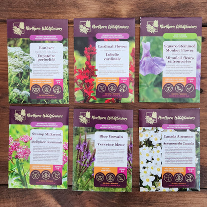 Northern Wildflowers seed collection for rain garden.